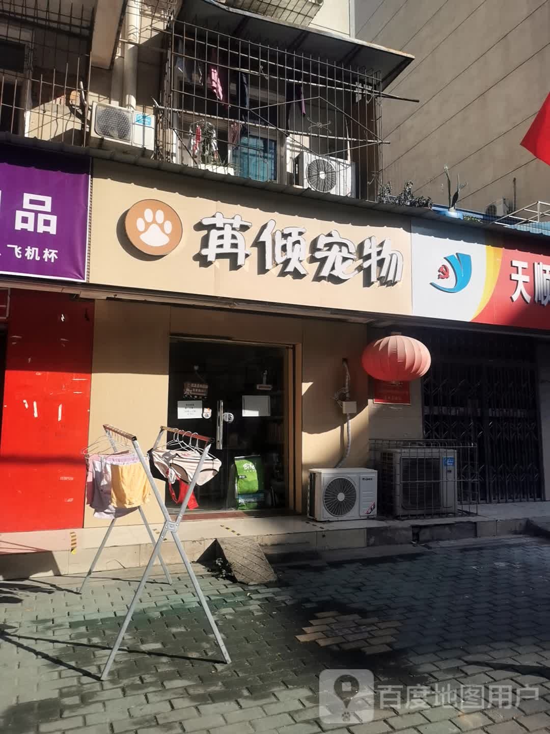 苒倾宠物
