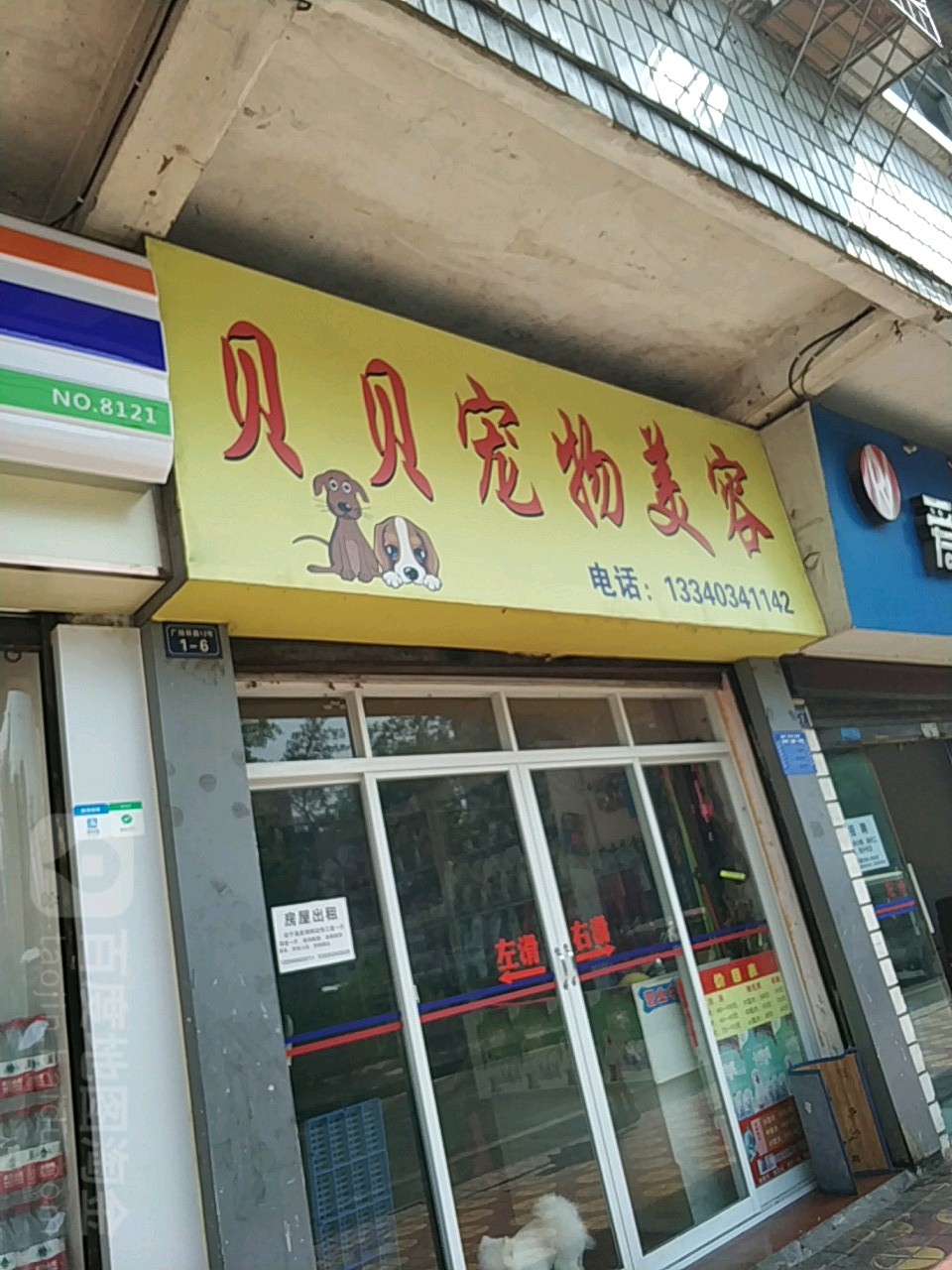 贝贝宠物美容