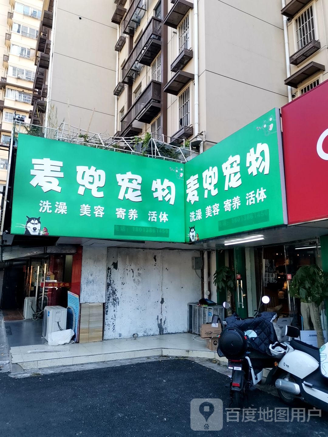麦兜宠物