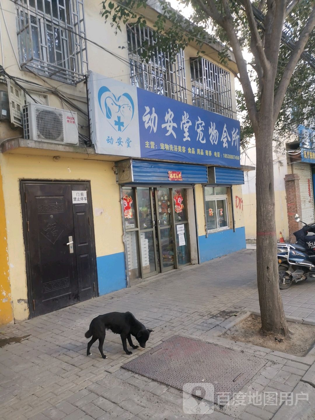 东安堂宠物诊所