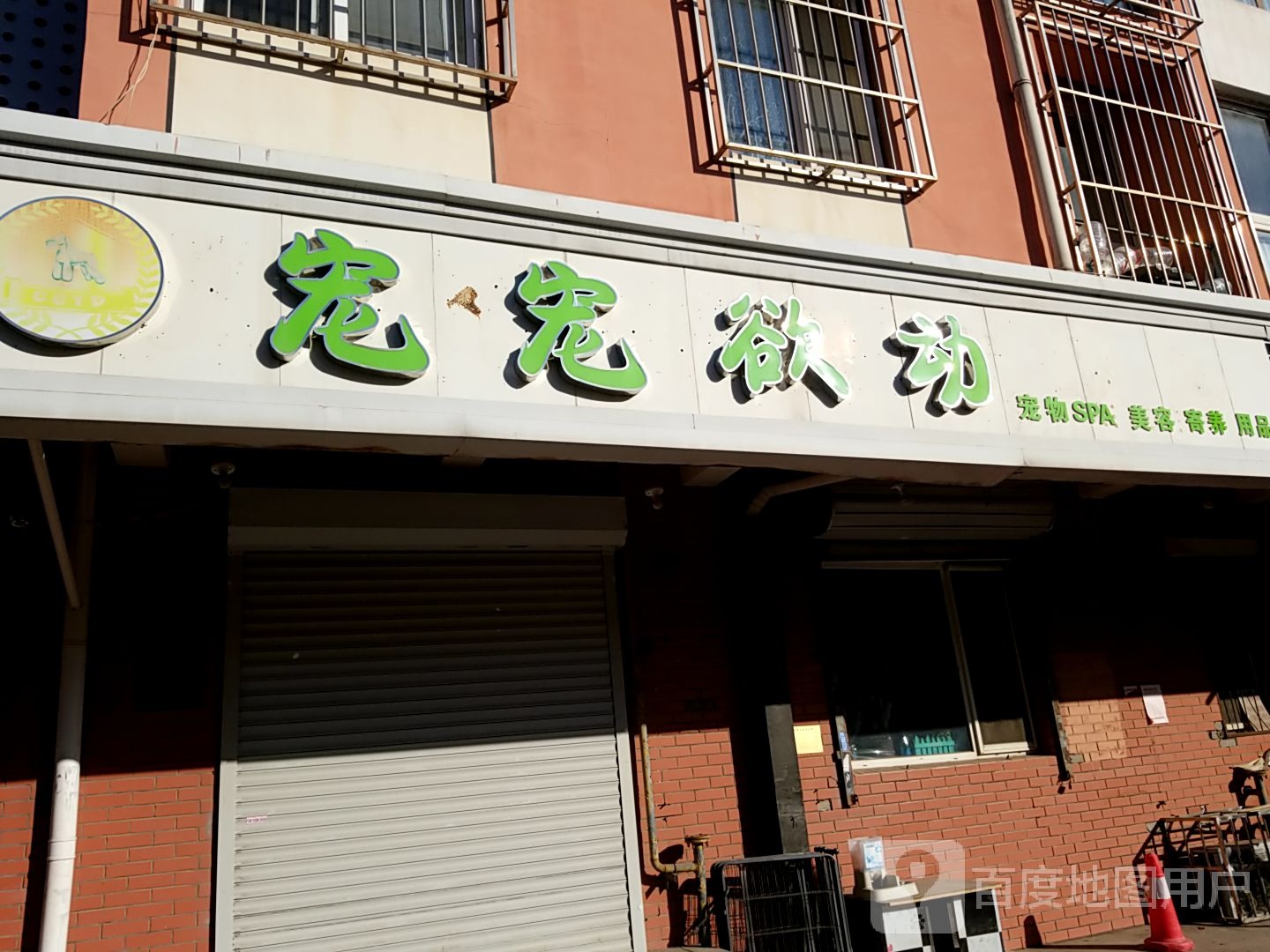 宠宠欲动