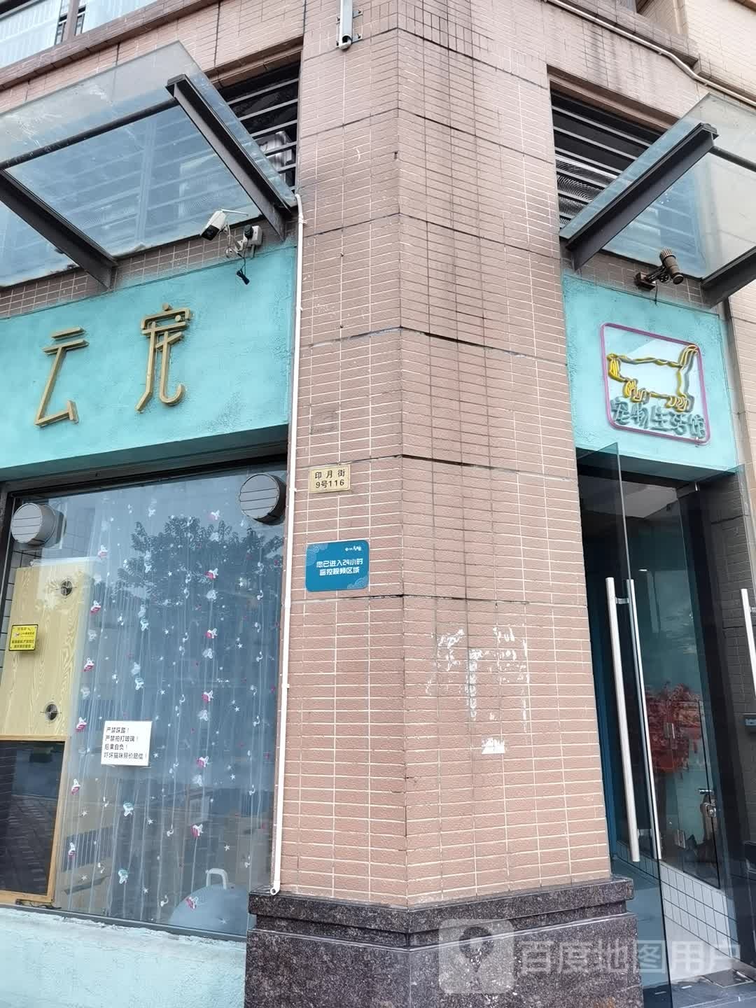 云宠