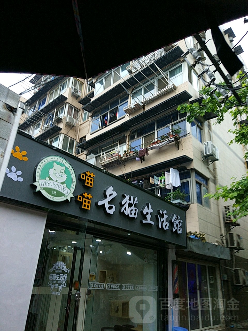 喵喵名猫生活馆
