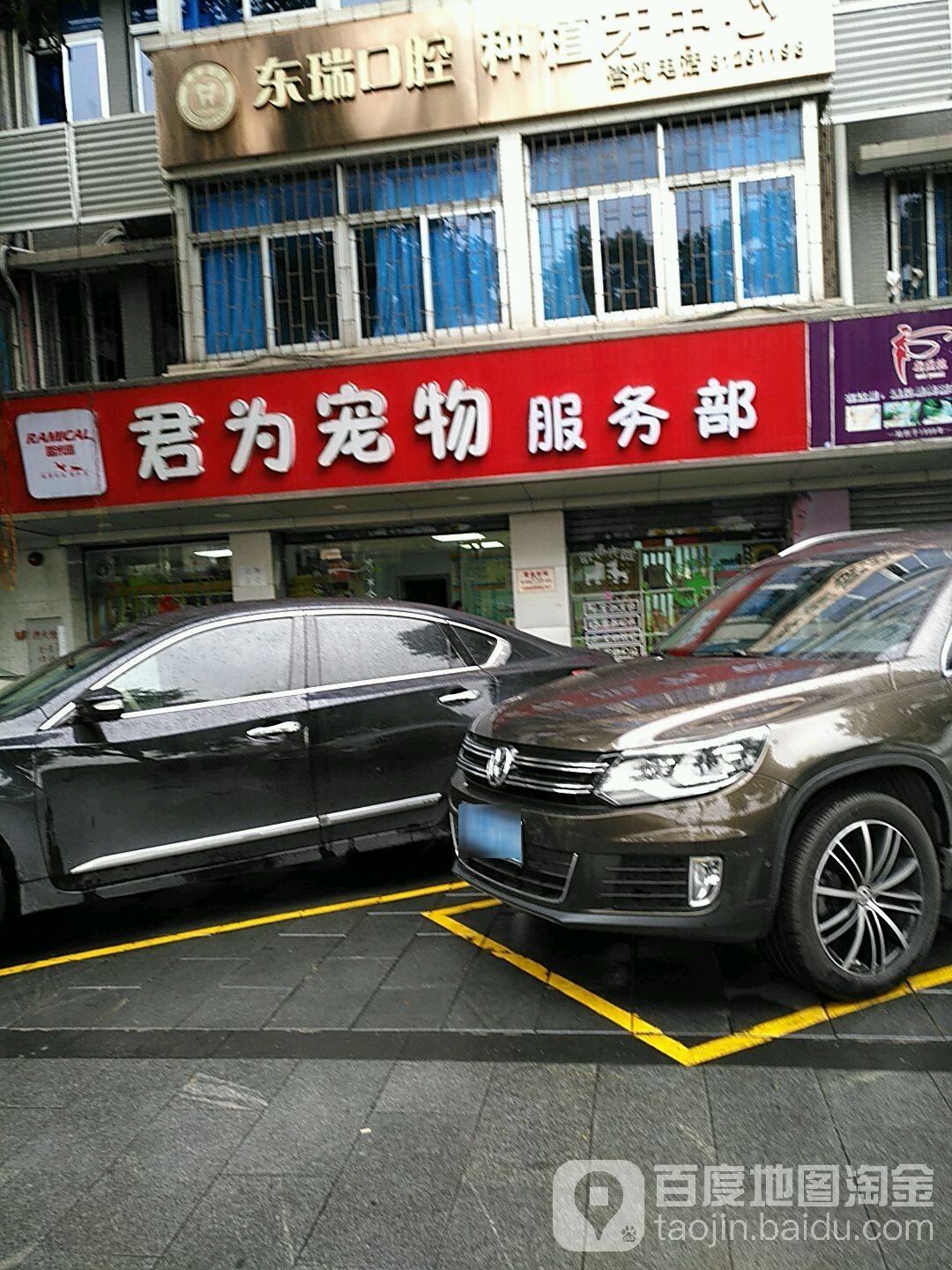 君为宠物店