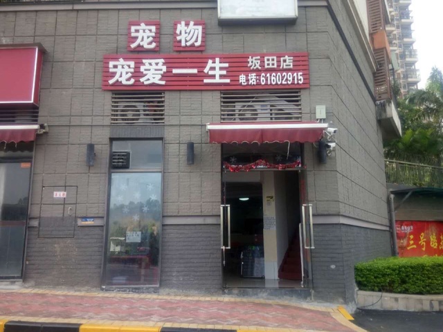 宠爱一生(坂田店)