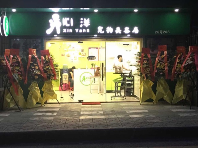 心洋宠物美容店