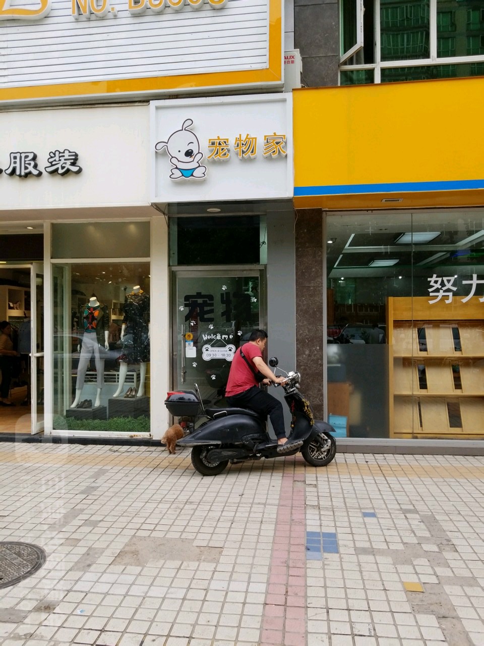 宠物家(远大路万柳店)