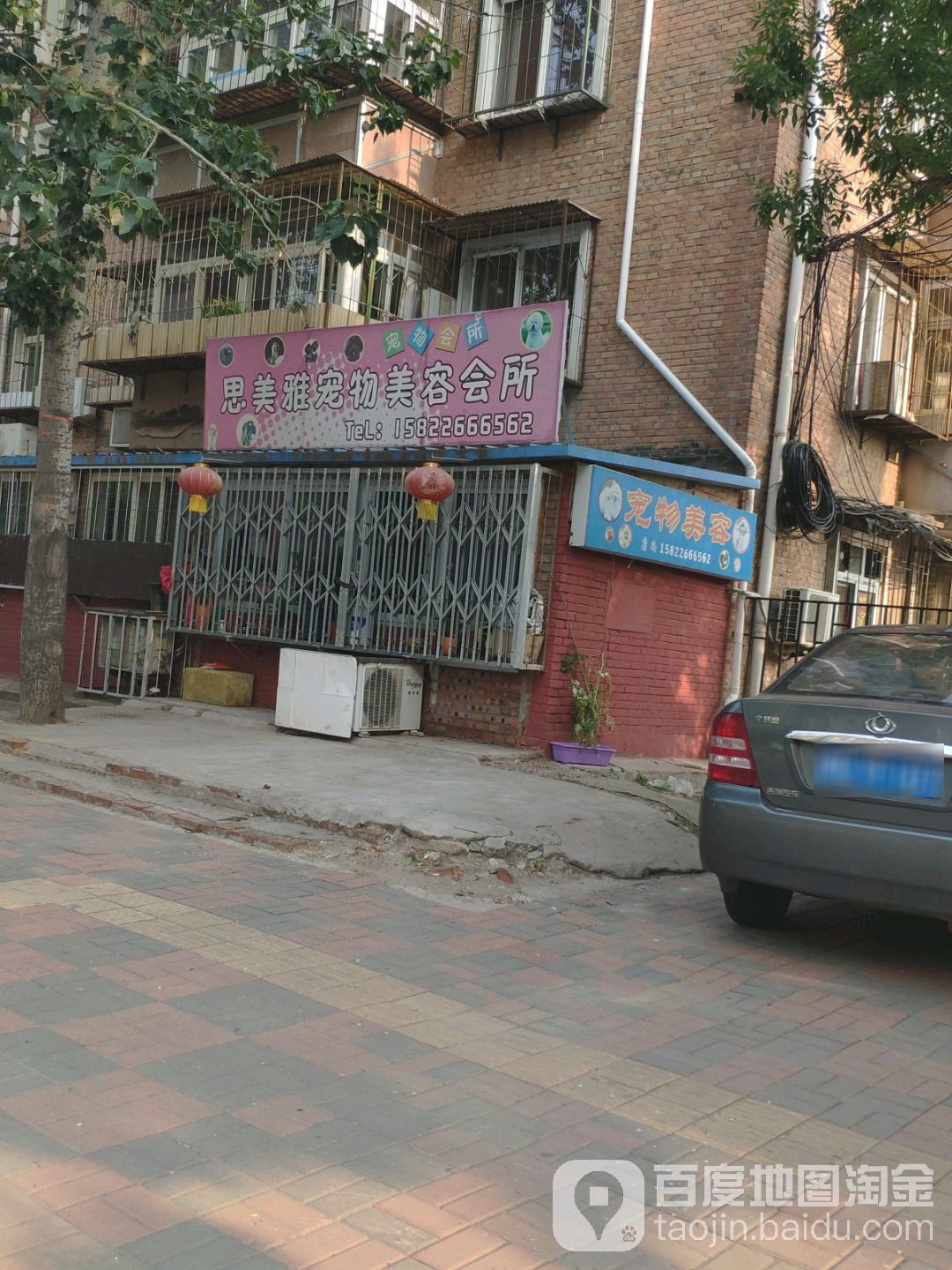 思美雅宠物美容会所