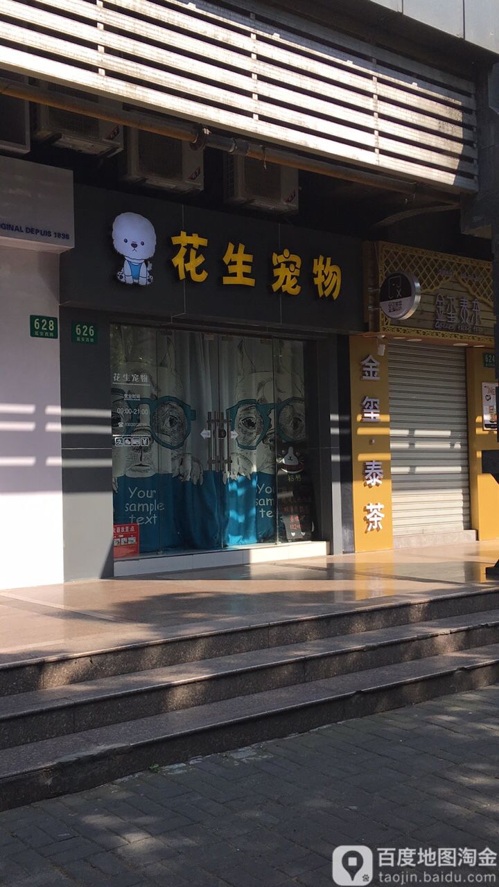 花生宠物