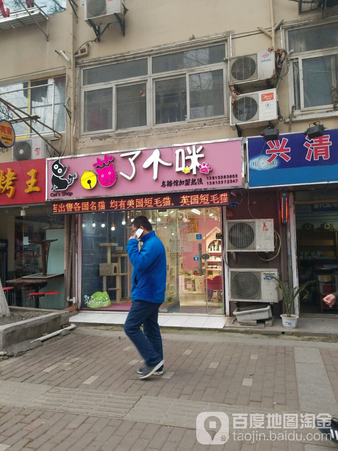 喵了个咪精品名猫馆