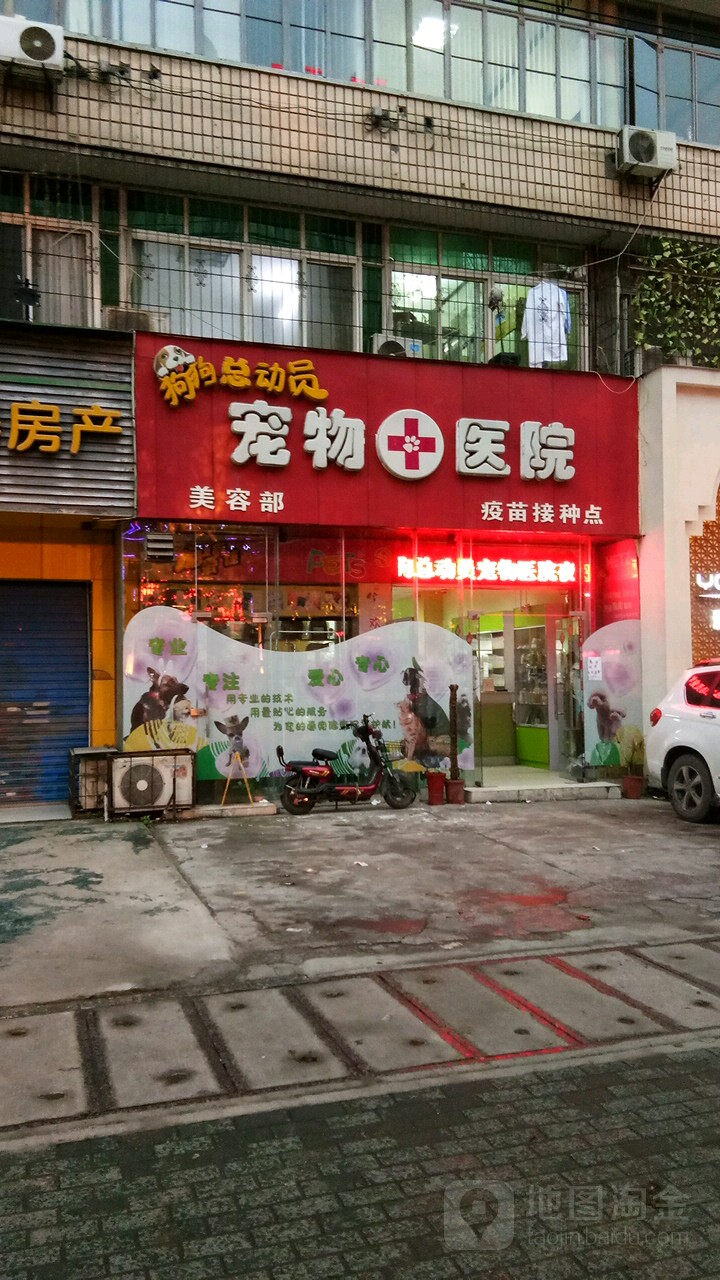 狗狗总动员动物医院(汉口分院)