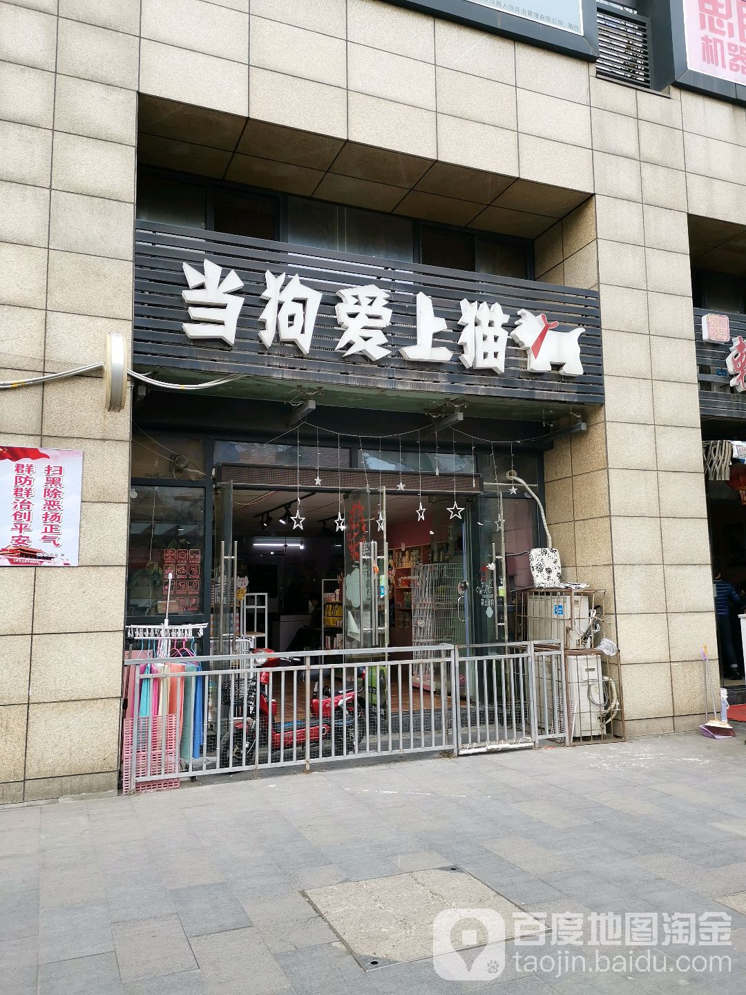 当狗爱上猫(钟家村店)