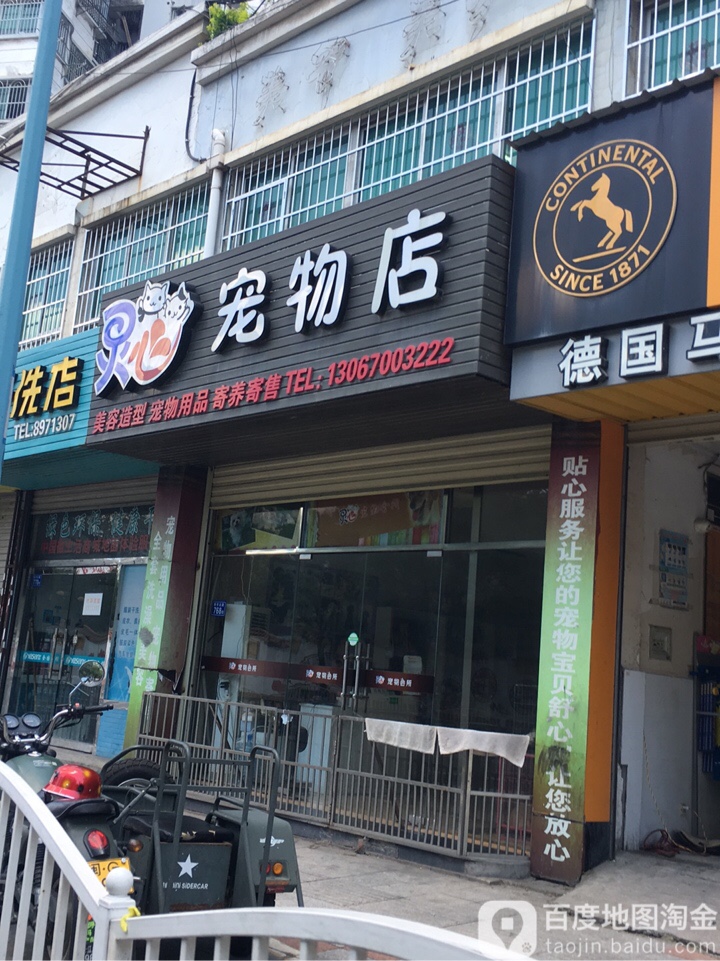 灵心宠物店