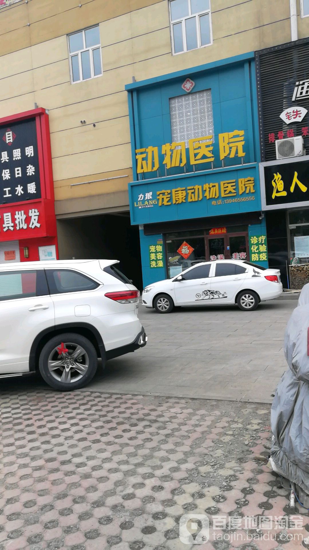 宠康动物医院