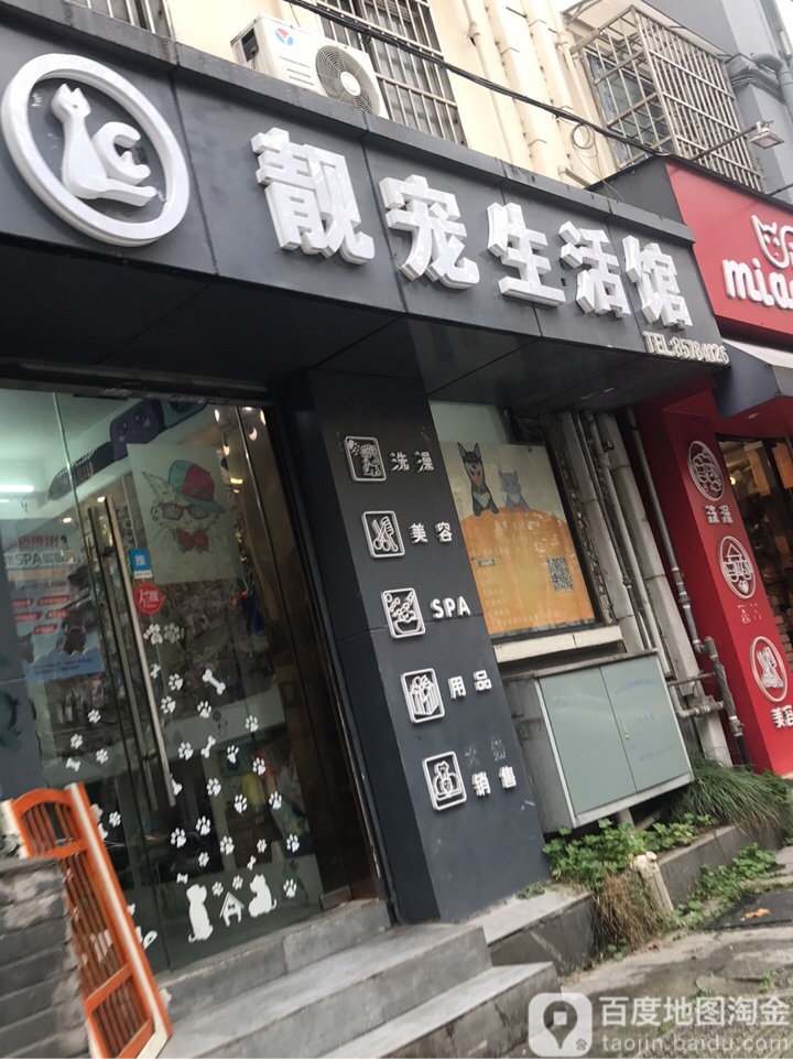 靓宠生活馆(体育场路店)