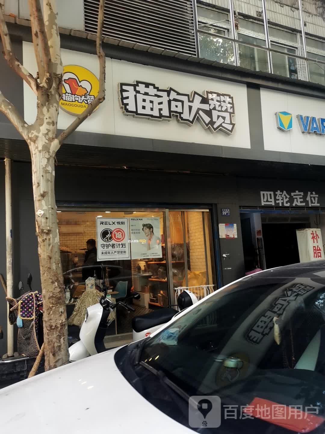 猫狗大赞