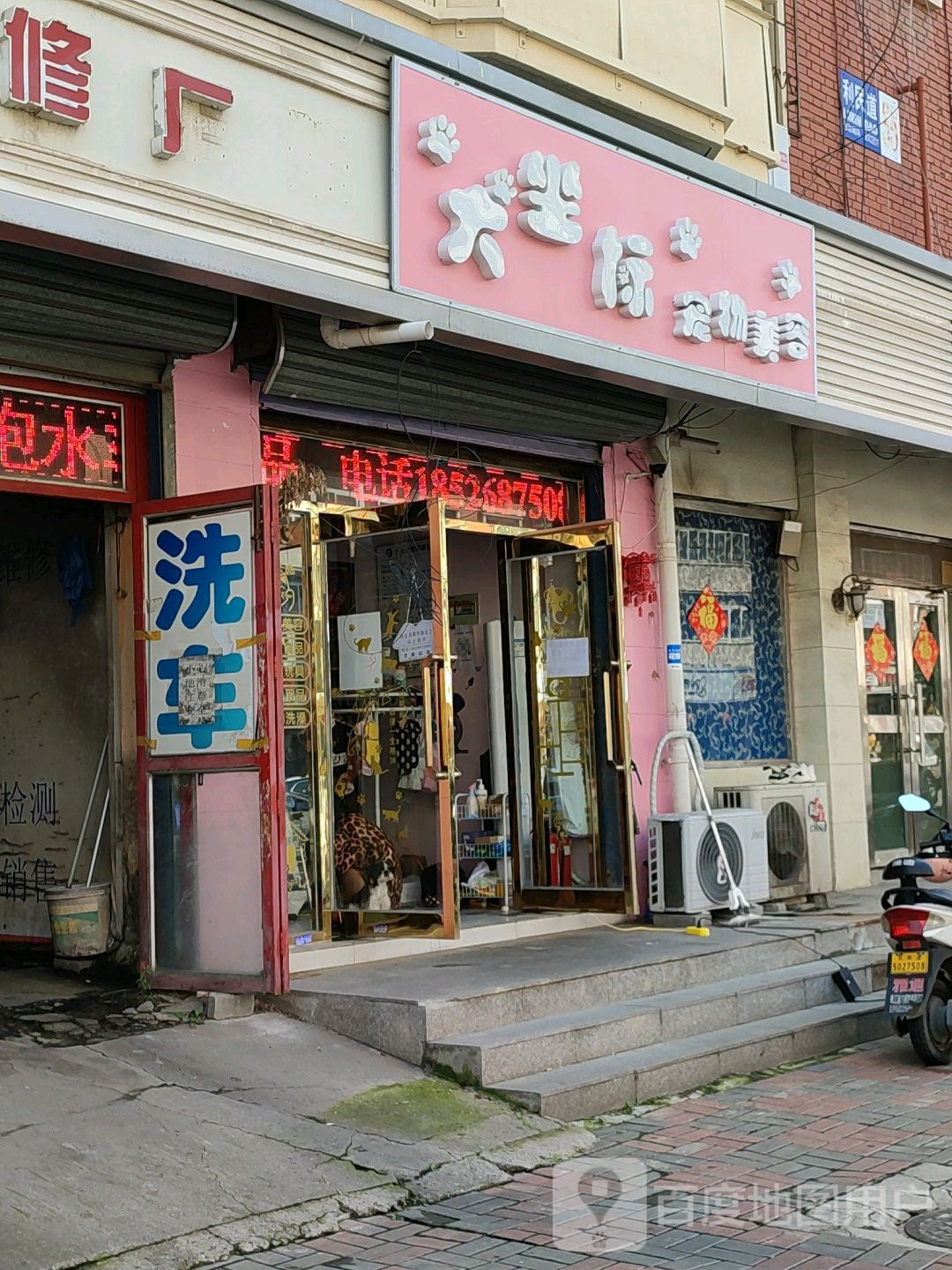 大坐标宠物美容