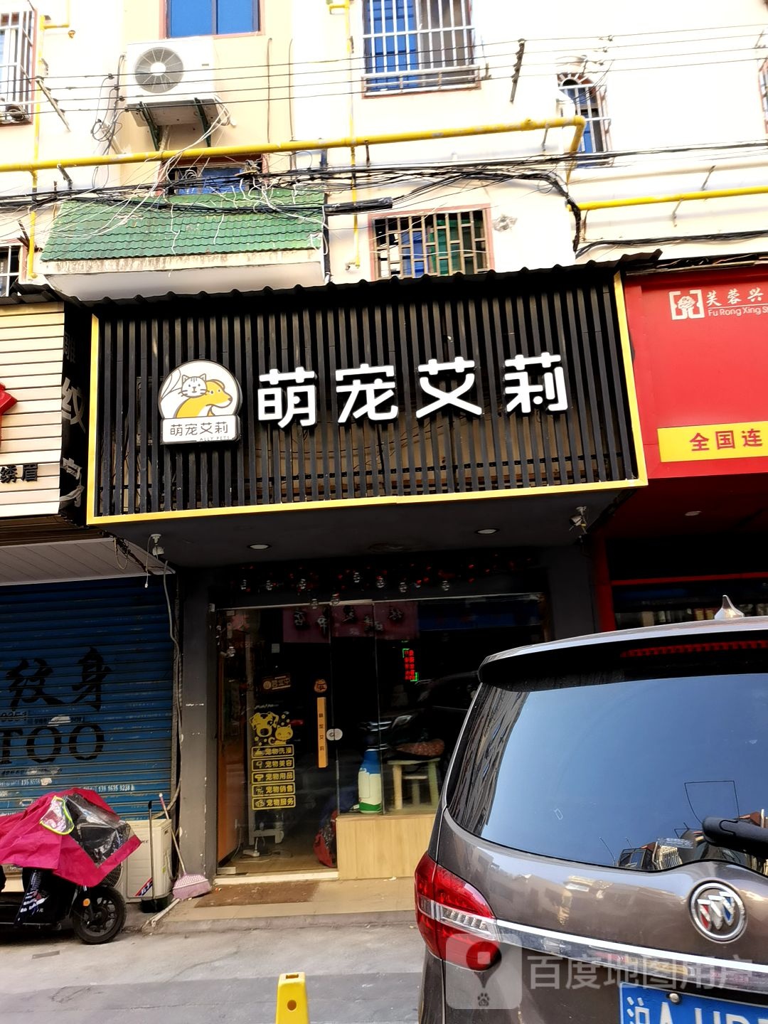 萌宠艾莉