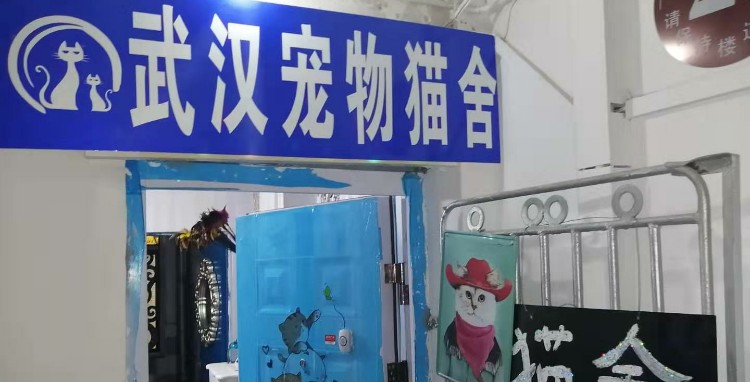 武汉宠物猫舍