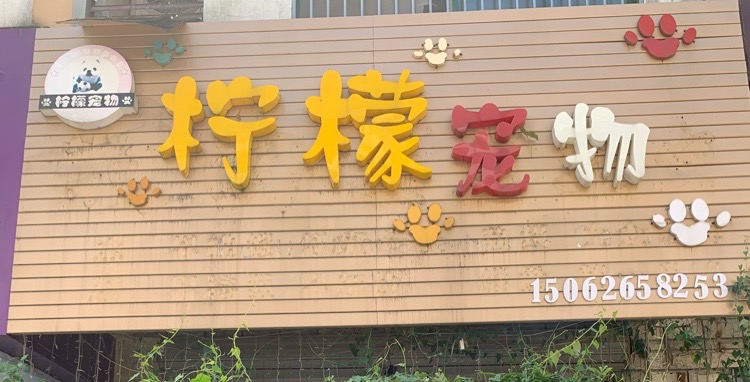 柠檬宠物