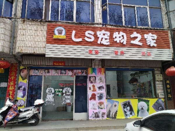LS宠物之家