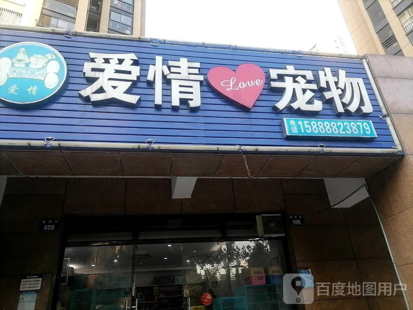 爱情宠物