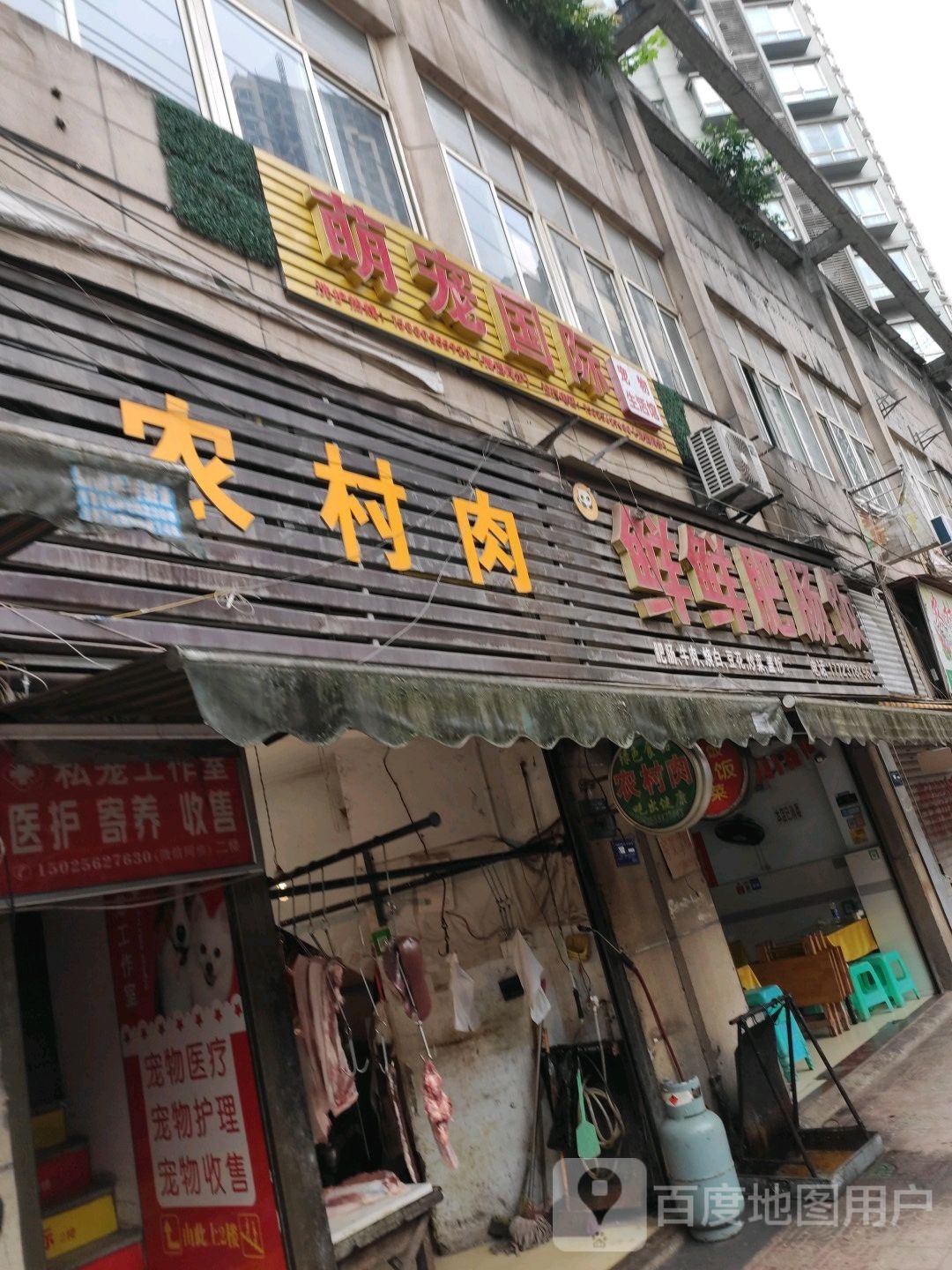 萌宠国际宠物生活馆