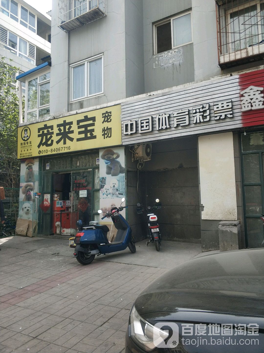 宠来宝宠物