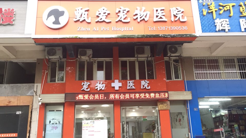 甄爱宠物医院
