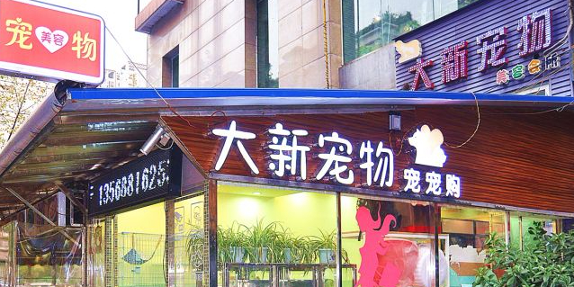 大新宠物