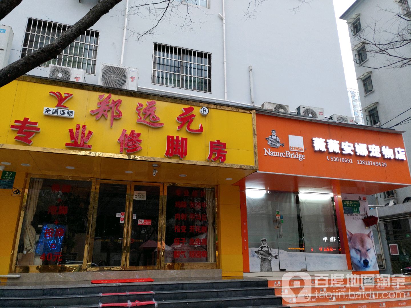 薇薇安娜宠物店