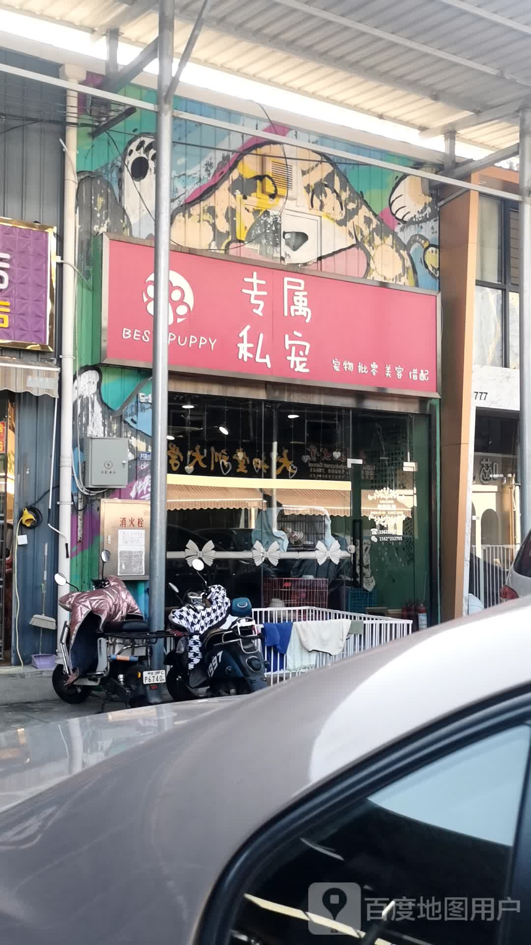 专属私宠