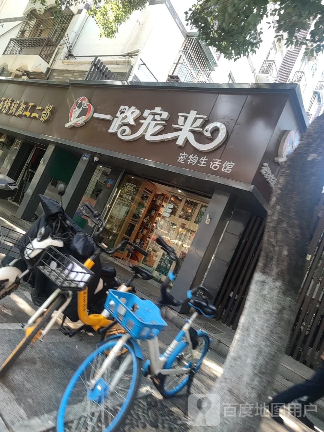 一路宠来