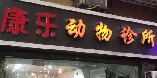 康乐动物诊所(大坪正街)