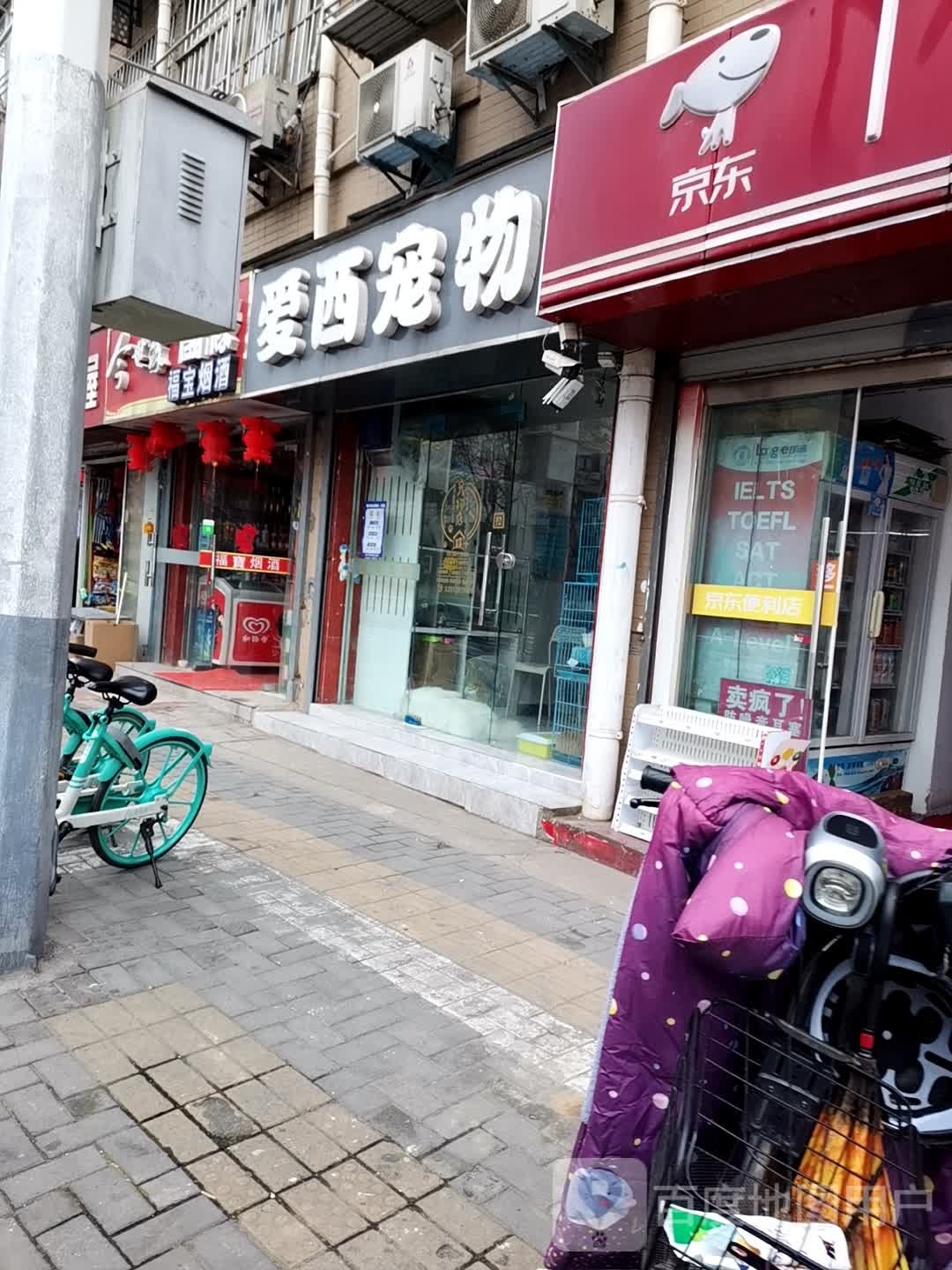 爱西宠物(萌宠)