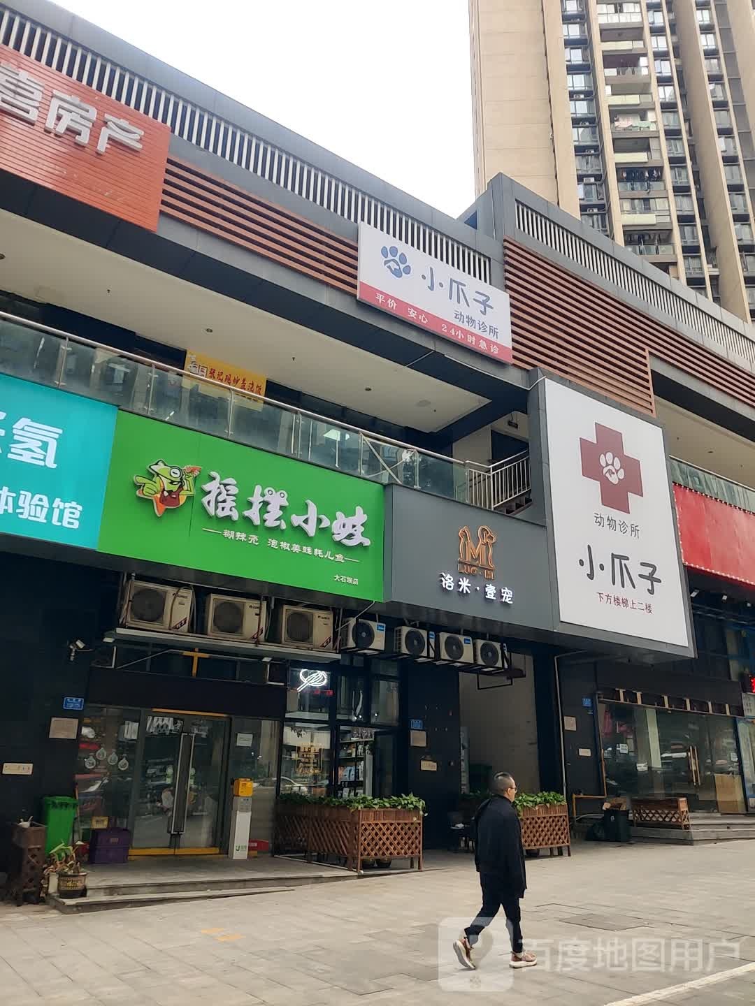 小爪子动物诊所