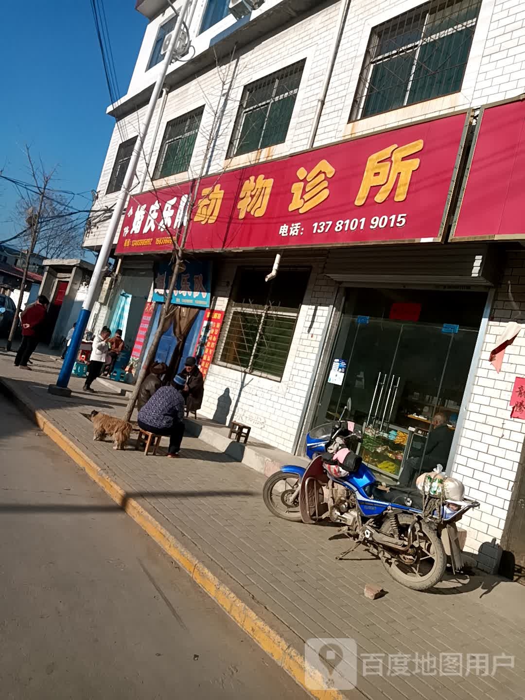 动物诊所