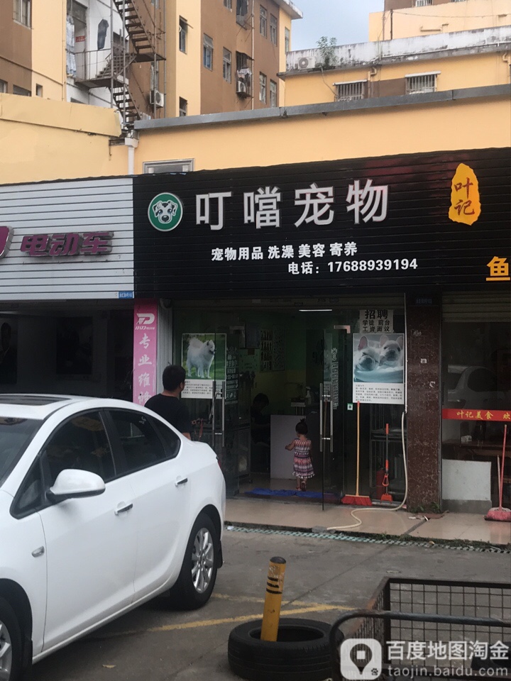 叮当宠物(龙岗大道店)