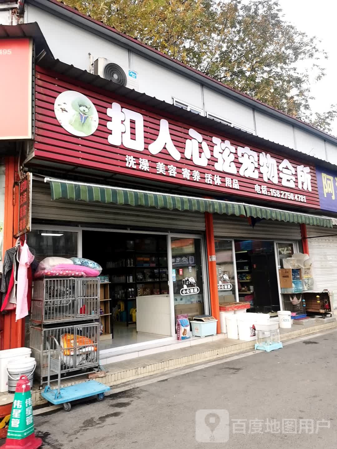 扣人心弦宠物会所