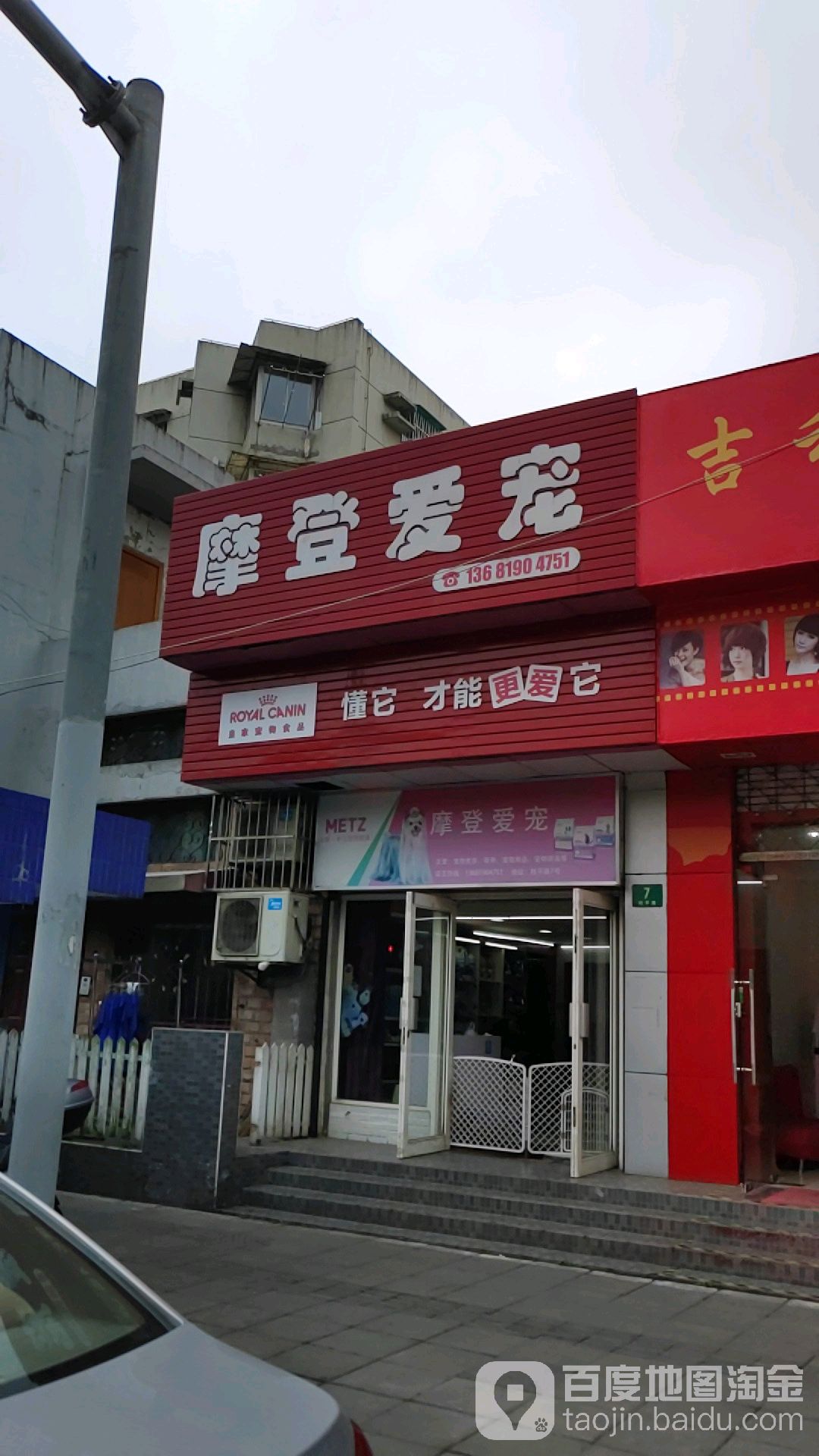 摩登爱宠