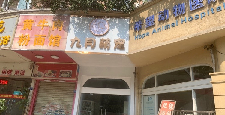 九月萌宠