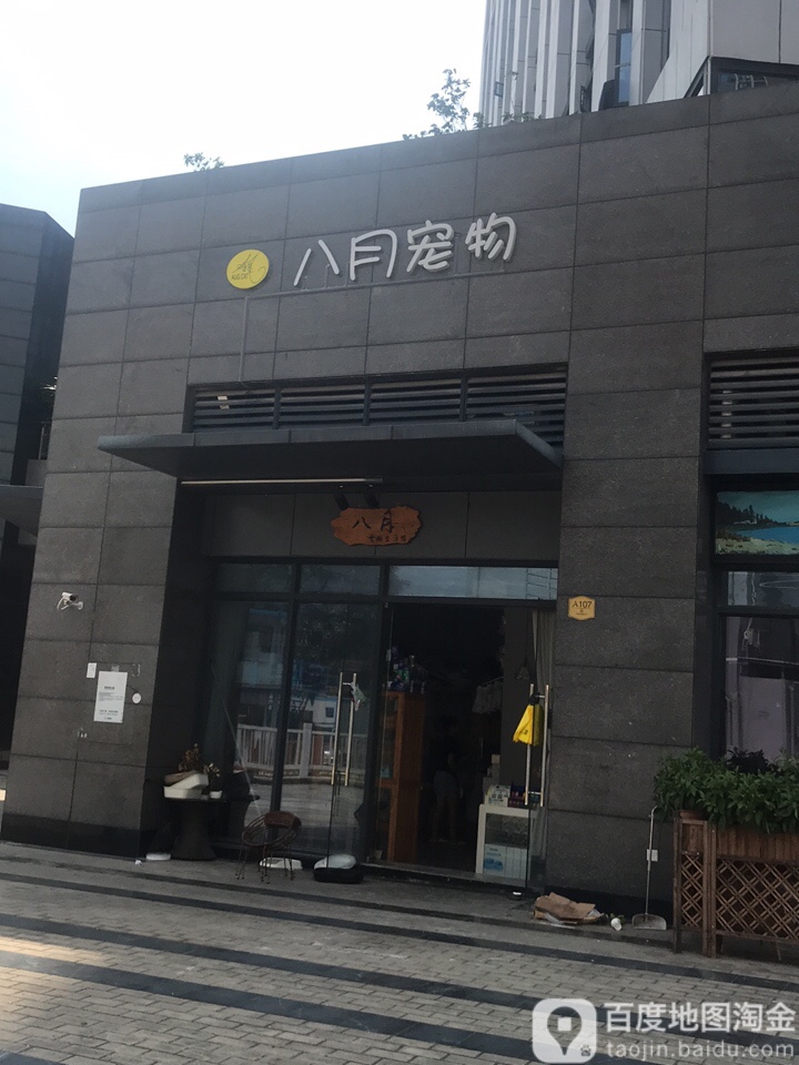 八月宠物