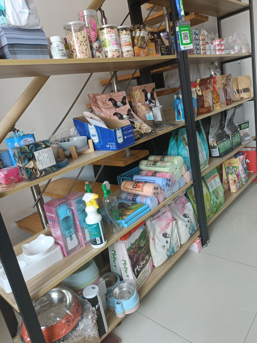 小十一宠物美容店
