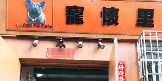 宠怀里