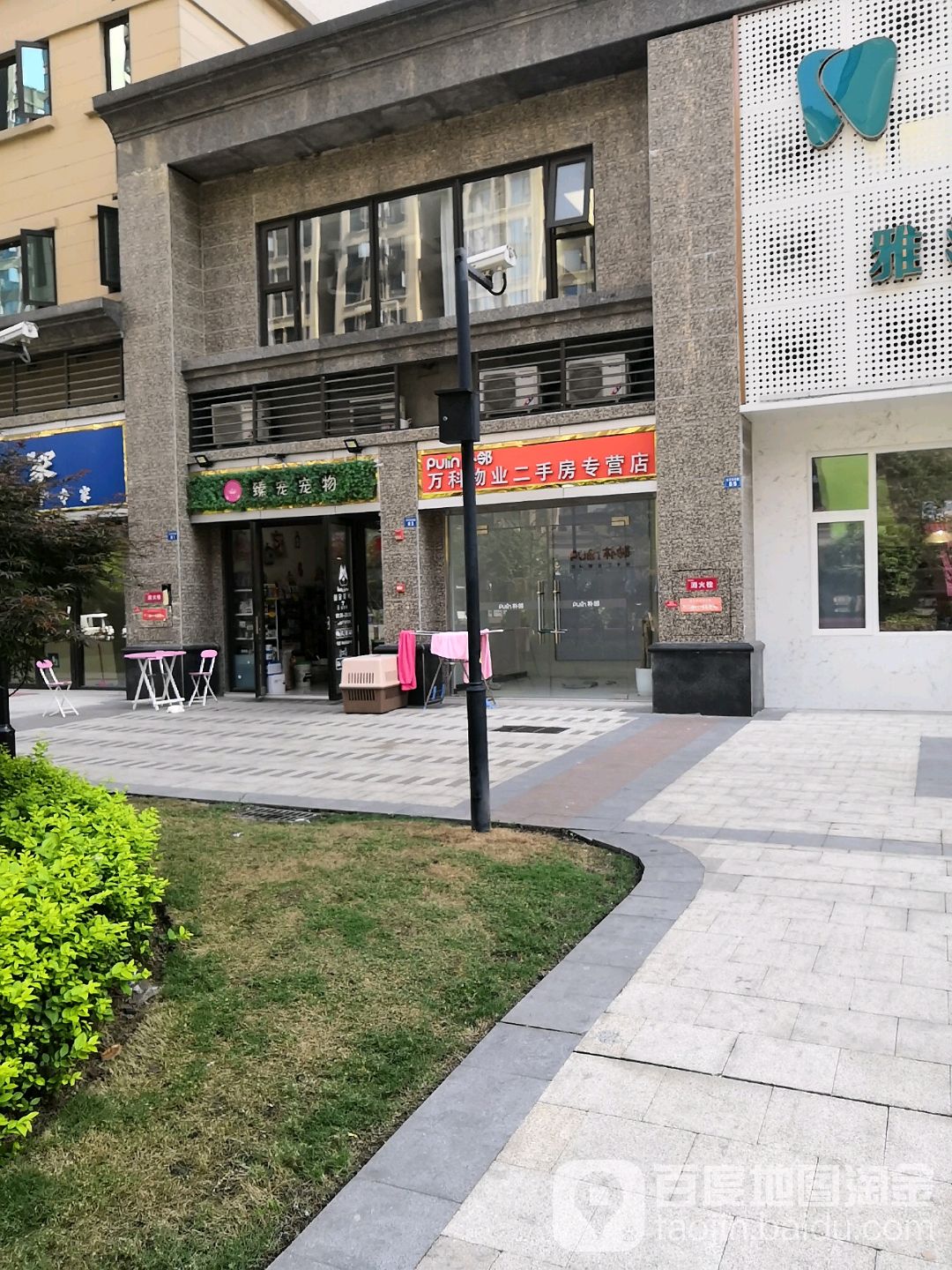 臻宠