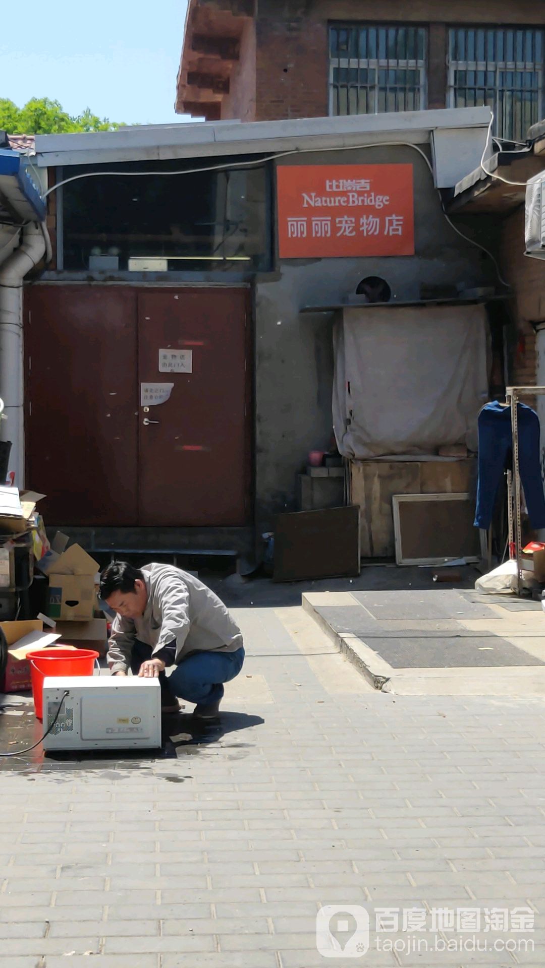 丽丽宠物店