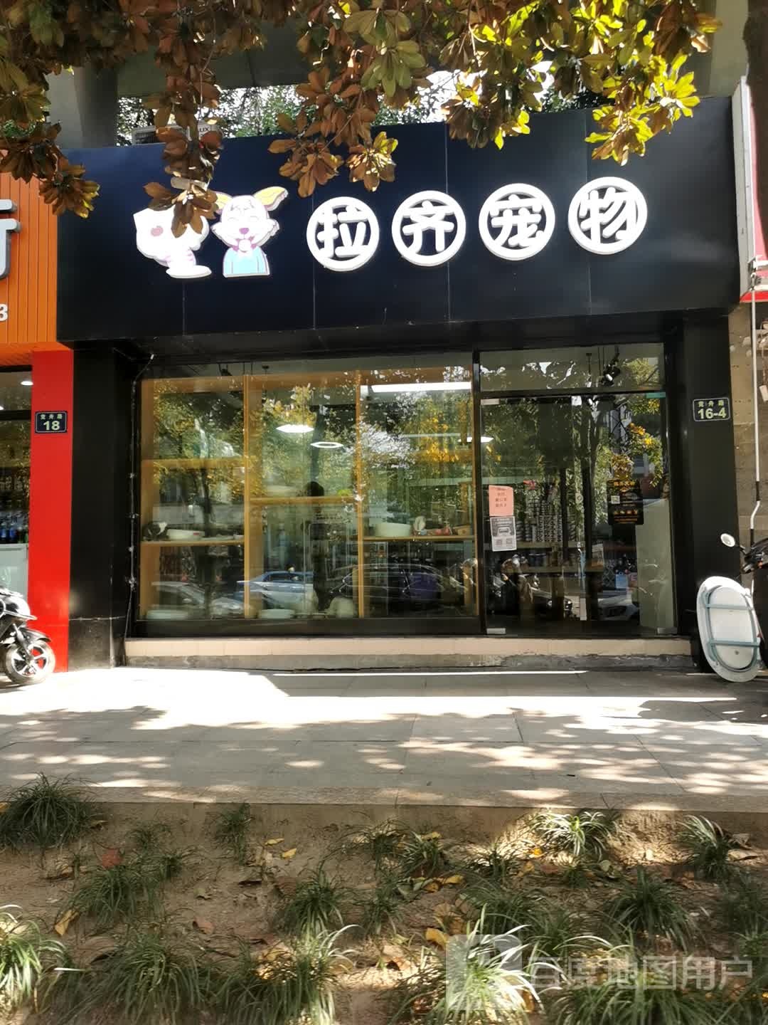 拉齐宠物