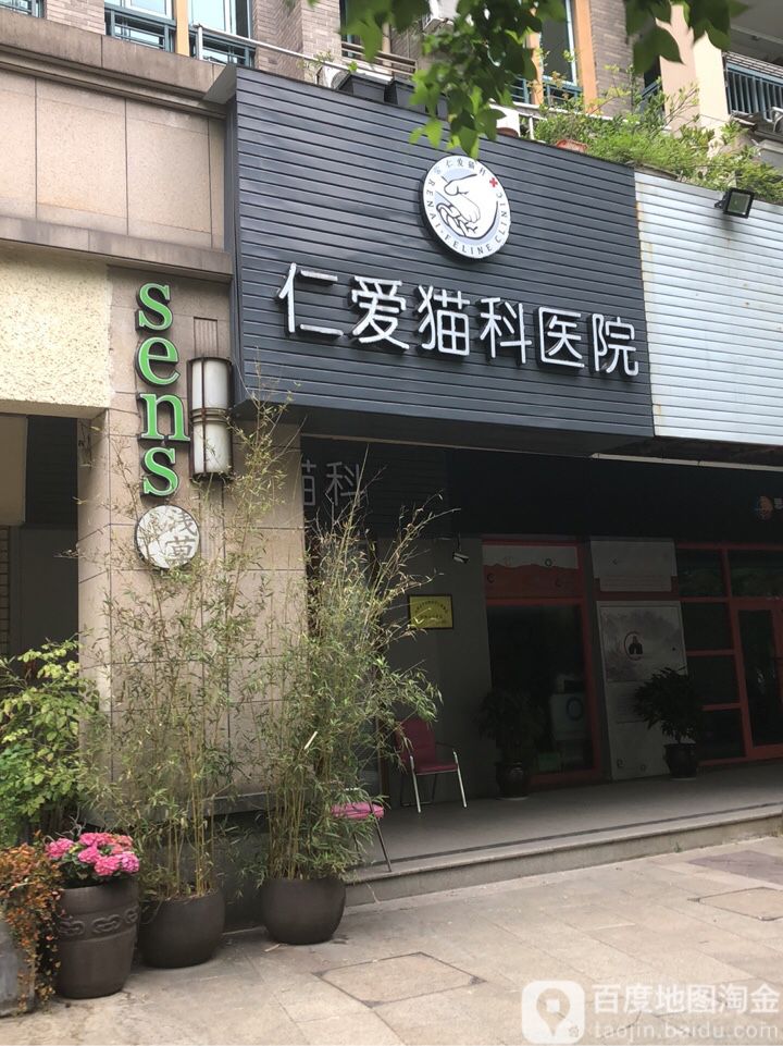 杭州仁爱猫科