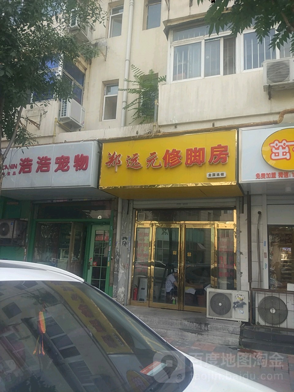 浩浩宠物