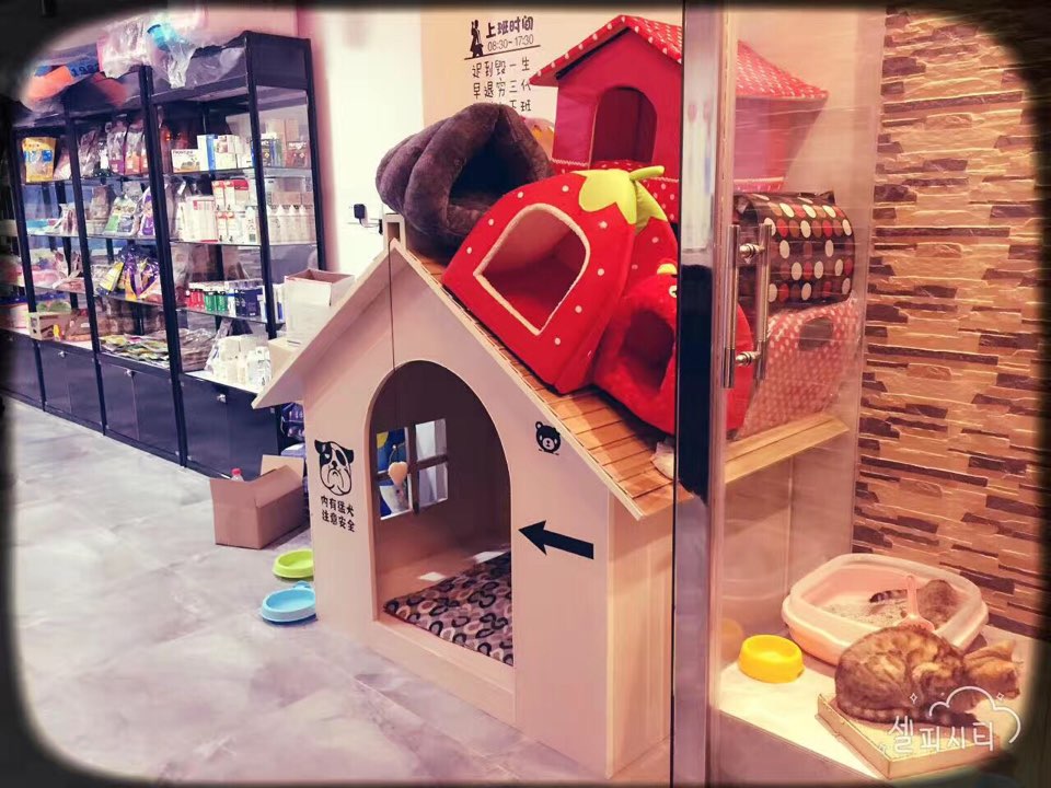 小跟班宠物生活馆
